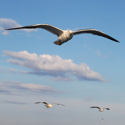 Similar image 5573443