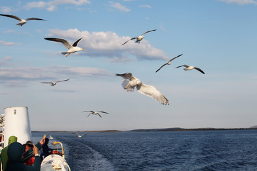 Similar image 5573451