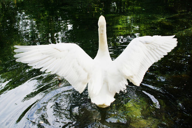 Similar image 5573457