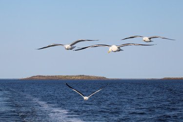 Similar image 5573466