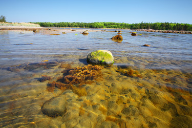 Similar image 5573467