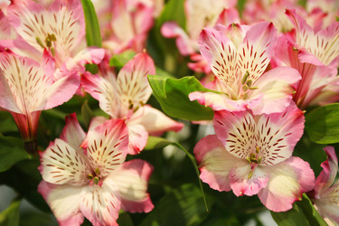 Similar image 5573472