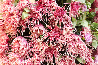 Similar image 5573477