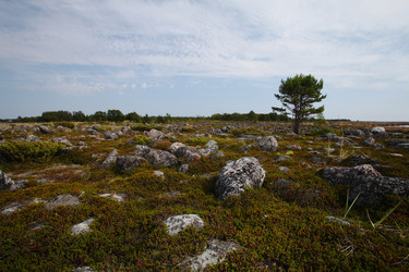 Similar image 5573496