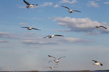 Similar image 5573526