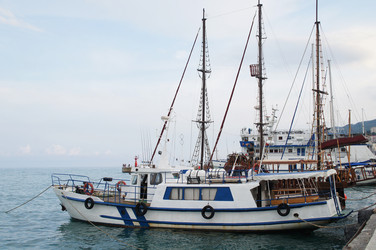 Similar image 5573527