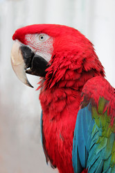 Similar image 5573806