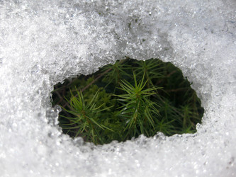 Similar image 5573809