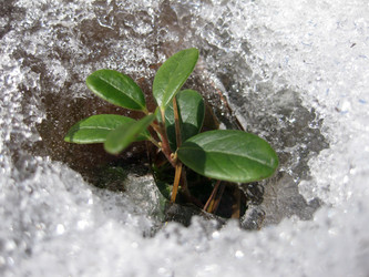 Similar image 5573810