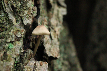 Similar image 5573812