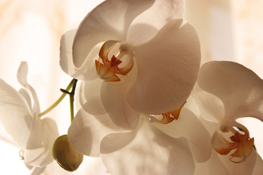 Similar image 5573814