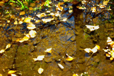 Similar image 5573815