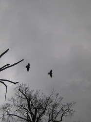 Similar image 5573817