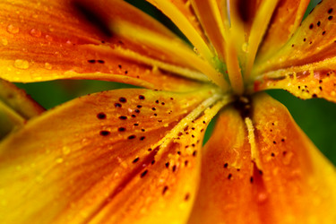 Similar image 5573982