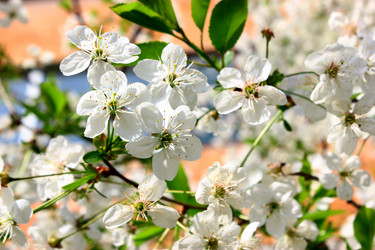 Similar image 5573985