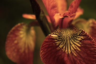 Similar image 5573986