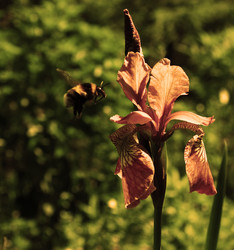 Similar image 5573988