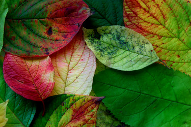 Similar image 5574151