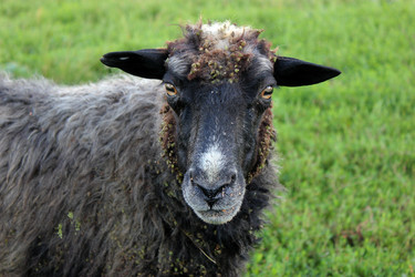 Similar image 5574152