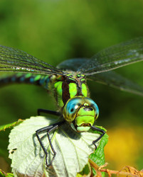 Similar image 5574154