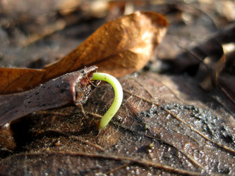 Similar image 5574155