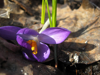 Similar image 5574156