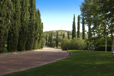 Similar image 5574202