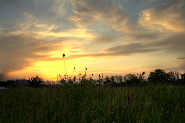 Similar image 5574205