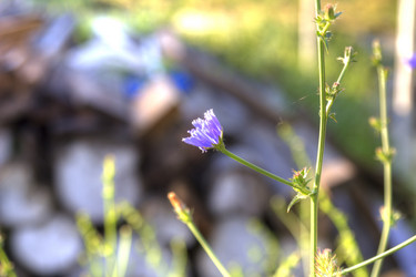 Similar image 5574207