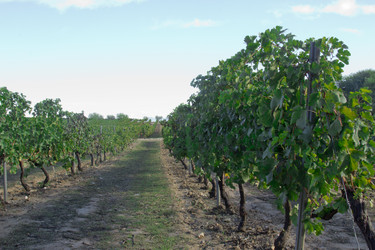 Similar image 5574208