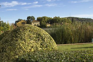 Similar image 5574211