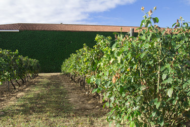 Similar image 5574213