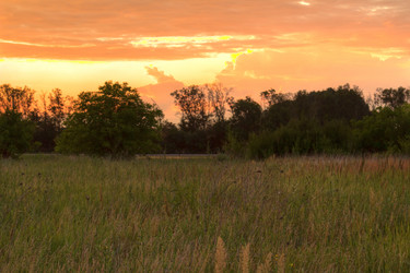 Similar image 5574223