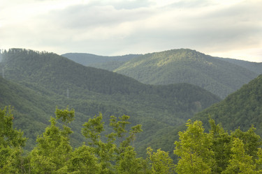 Similar image 5574226