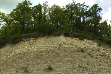 Similar image 5574228