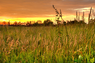 Similar image 5574240