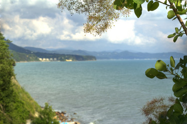 Similar image 5574243