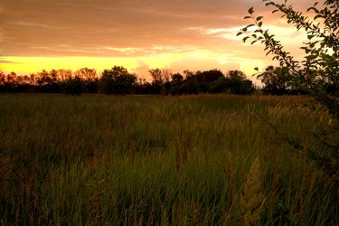 Similar image 5574246