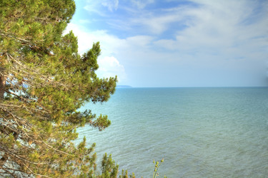 Similar image 5574248