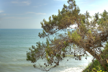 Similar image 5574250