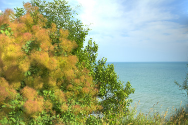 Similar image 5574252