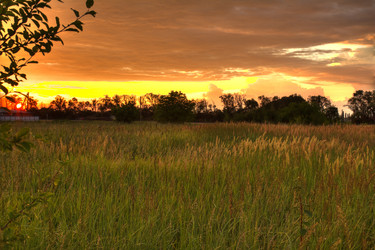 Similar image 5574251