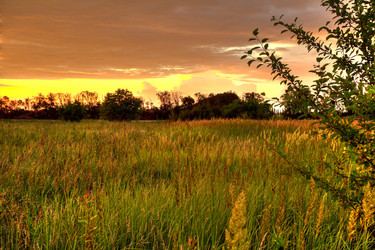 Similar image 5574253