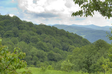 Similar image 5574256