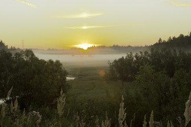 Similar image 5574260