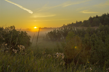 Similar image 5574276