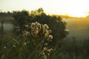 Similar image 5574277