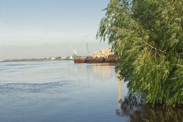 Similar image 5574282