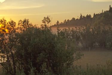 Similar image 5574291