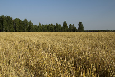 Similar image 5574429